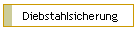 Diebstahlsicherung